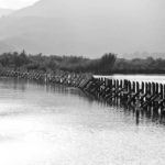 Dalyan River