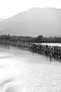 Dalyan River